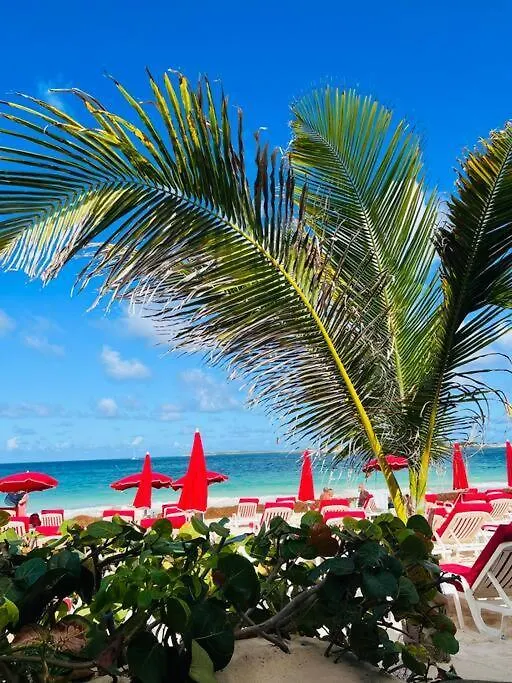 Mont Vernon Secret Magnifique Studio Sur La Plage Avec Piscine Orient Bay Cul de Sac 0*,